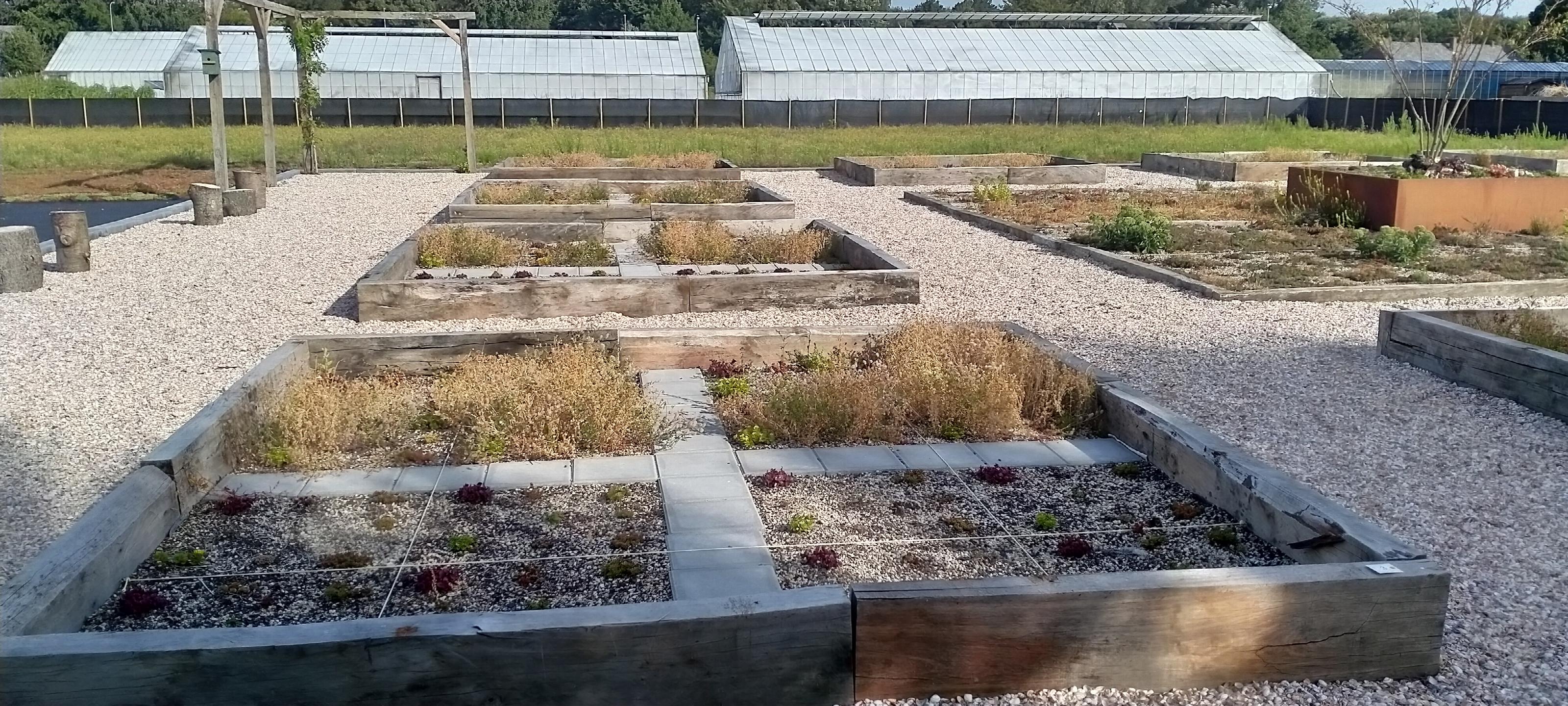 proeflocatie Katwijk