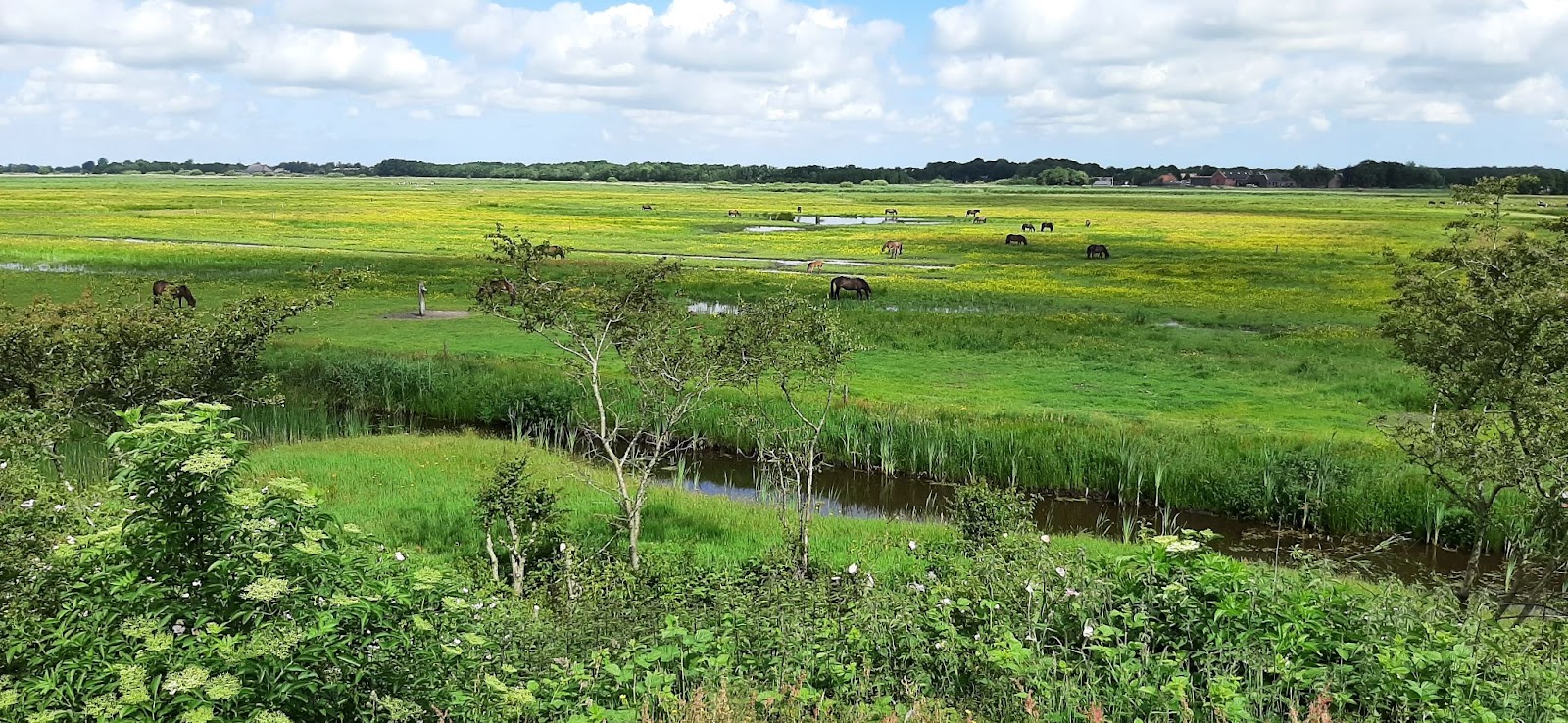 De Groote Wielen: een gebied met boezemmeertjes, zomerpolders en winterpolders met hoge waterpeilen.