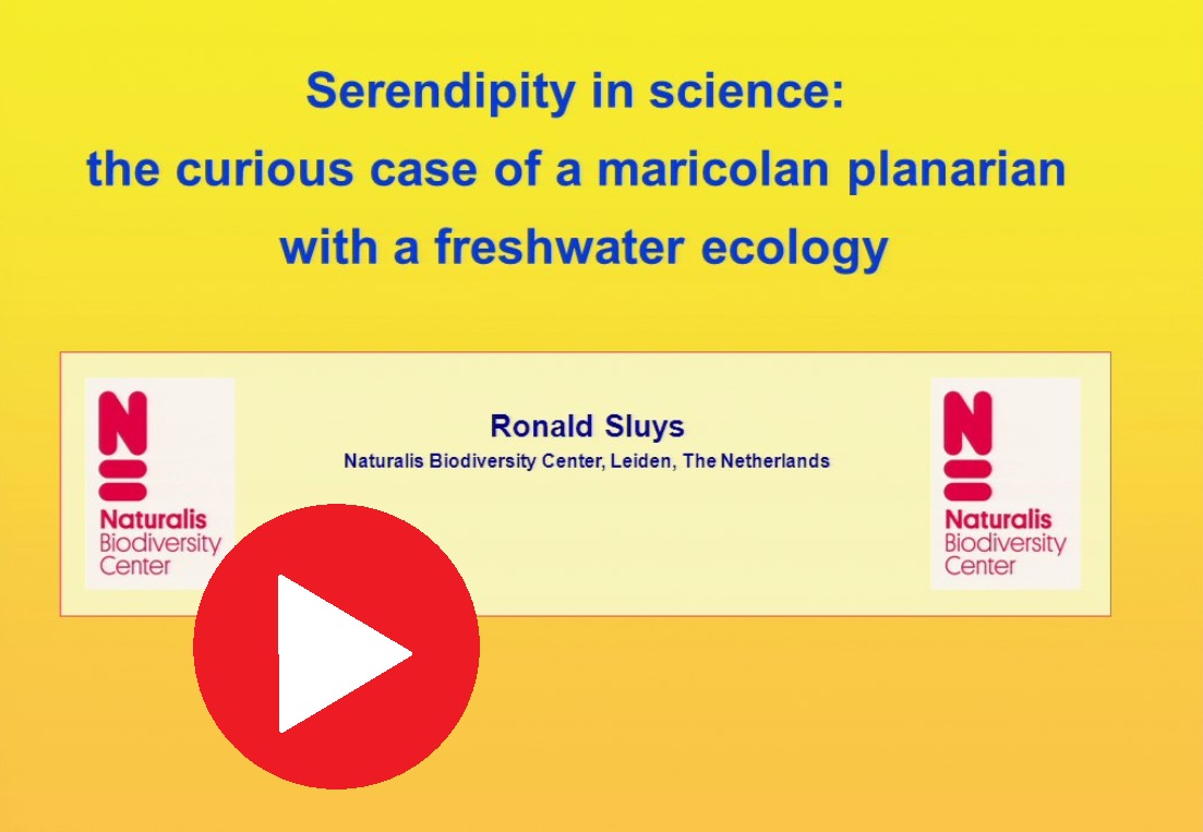 Movie clip link to lecture Ronald Sluys