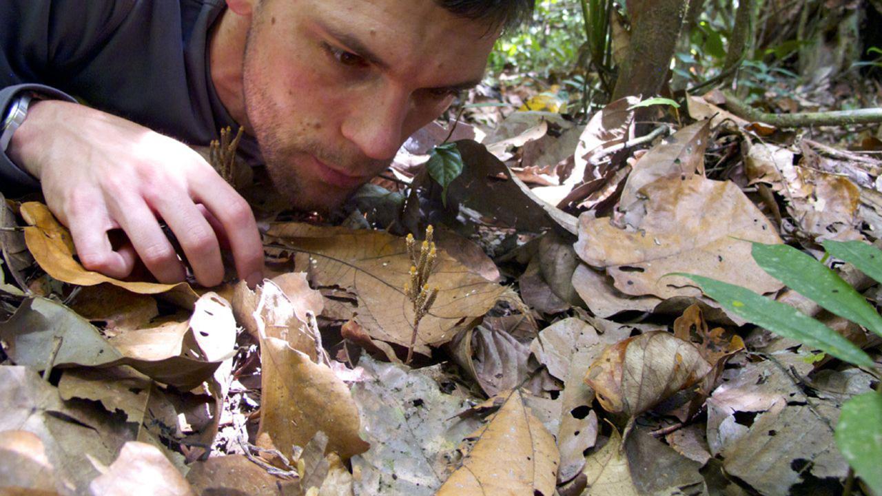 Onderzoek in het veld