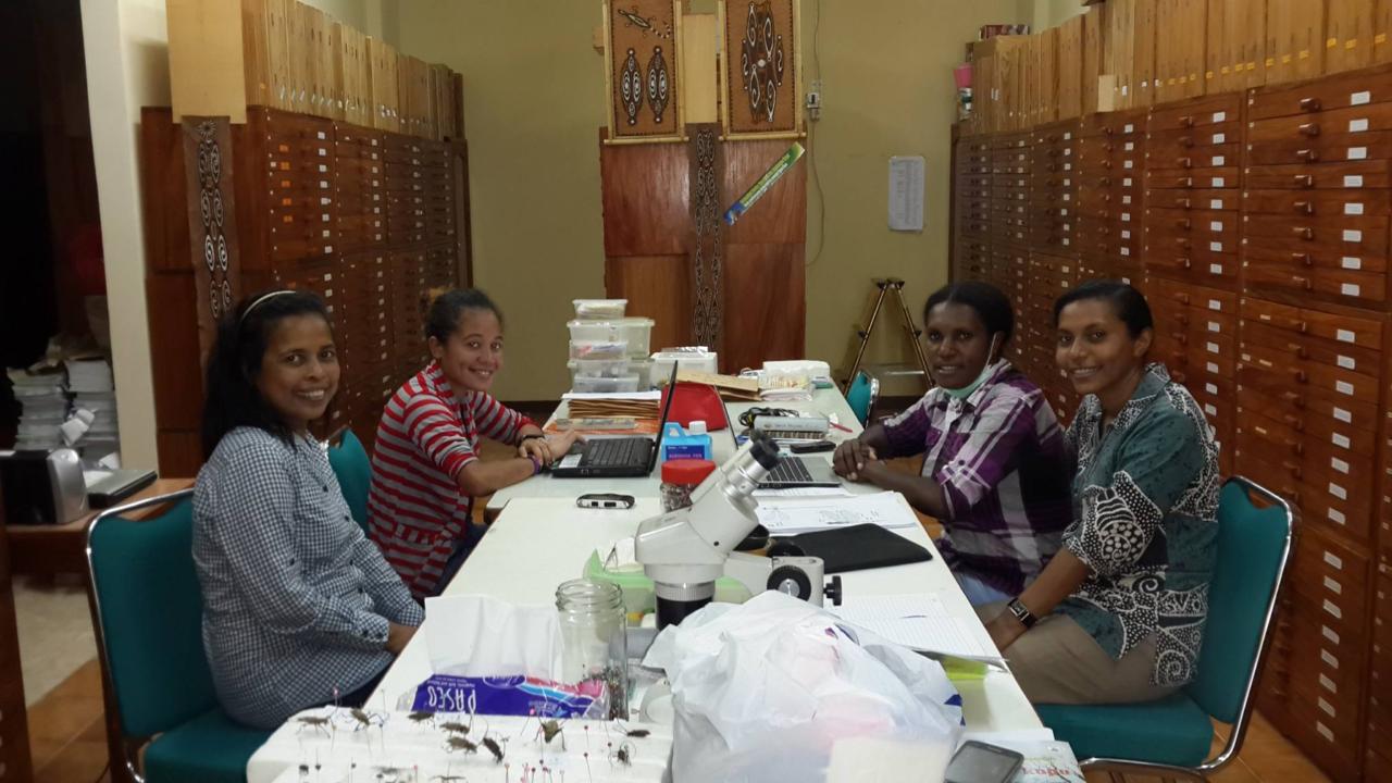 De entomologische vereniging van Papua (KEP)