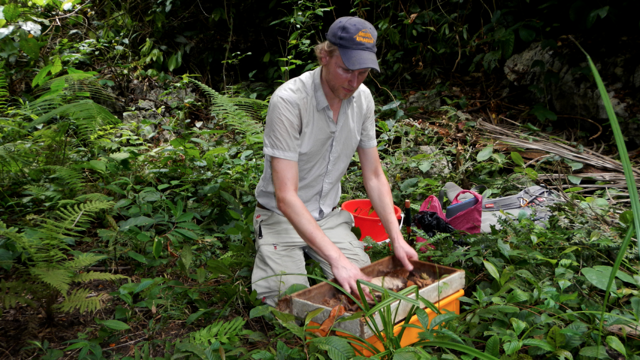 Grond zeven om microslakken te verzamelen