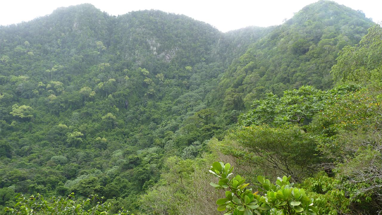 Nieuw-slakkensoort-top-vulkaan