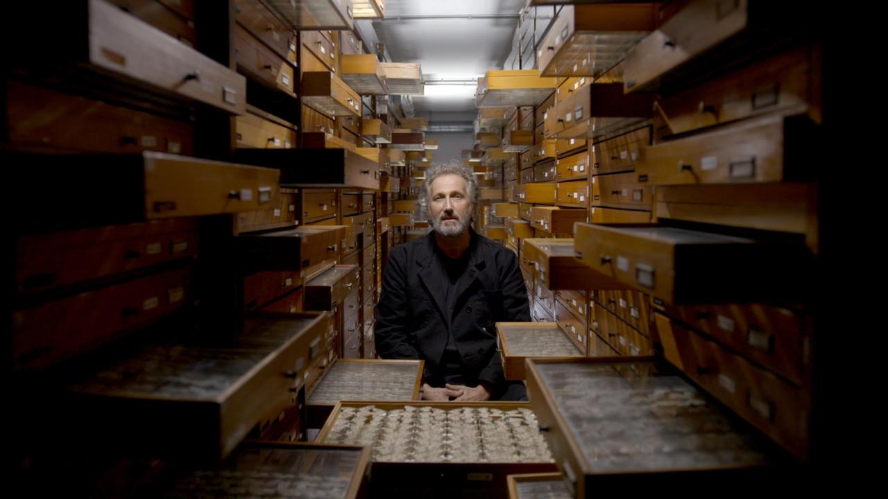 Marcel Musters bij de vlindercollectie