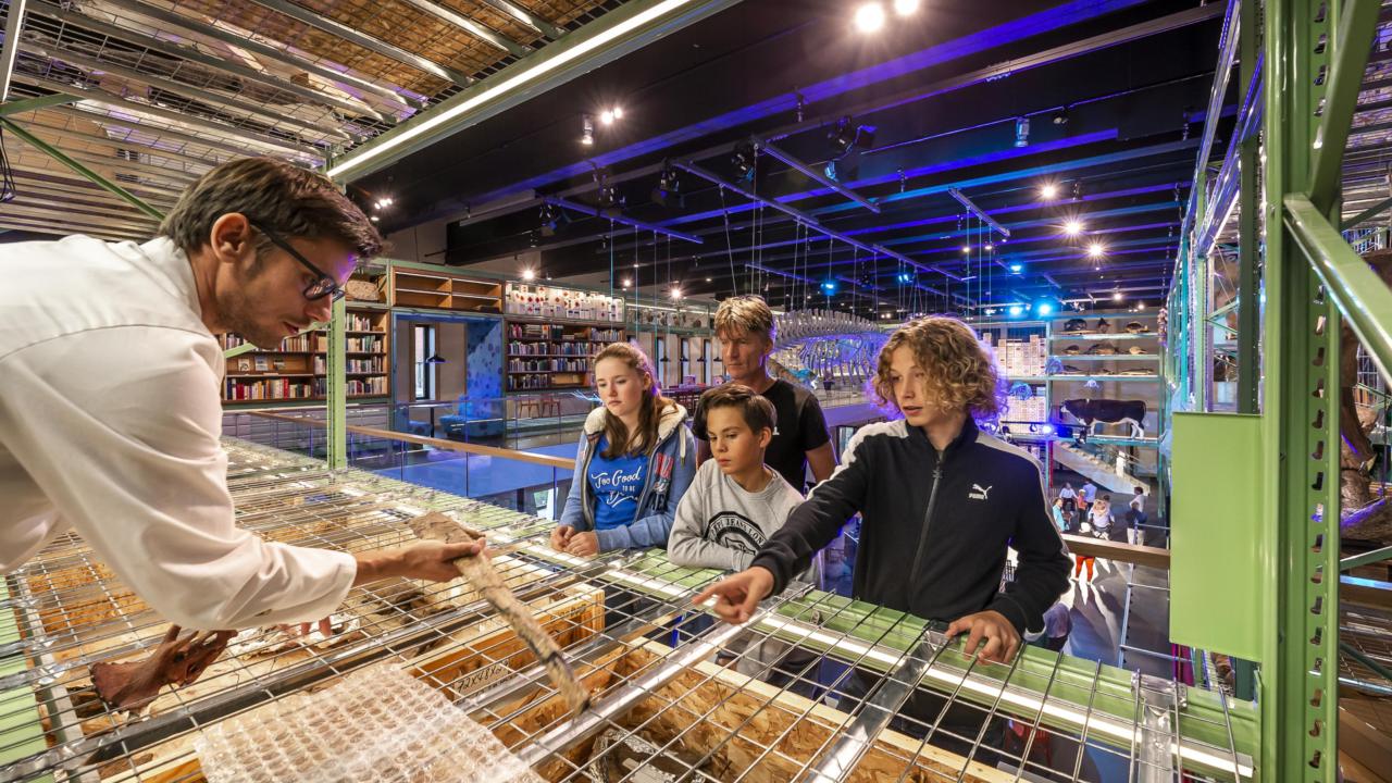 The gallery Live Science