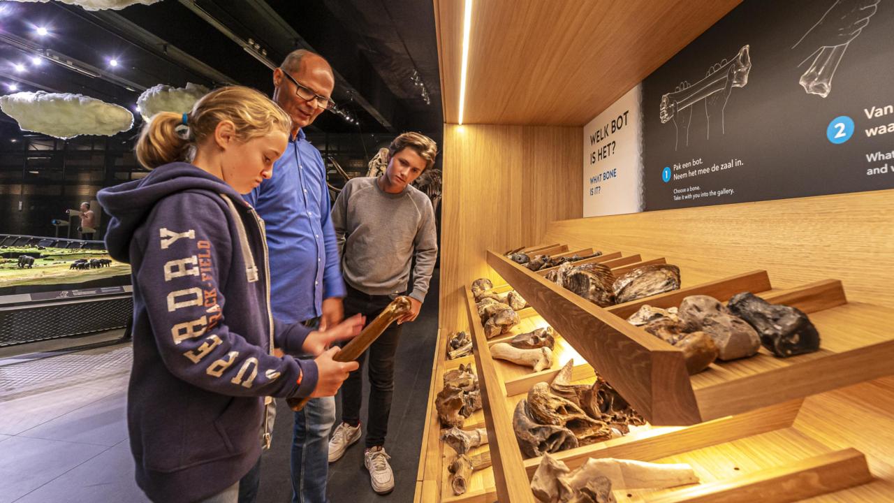 Vraagkast De ijstijd