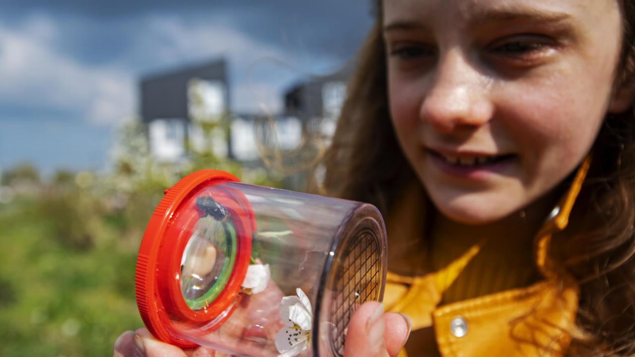 Meisje met insect in potje