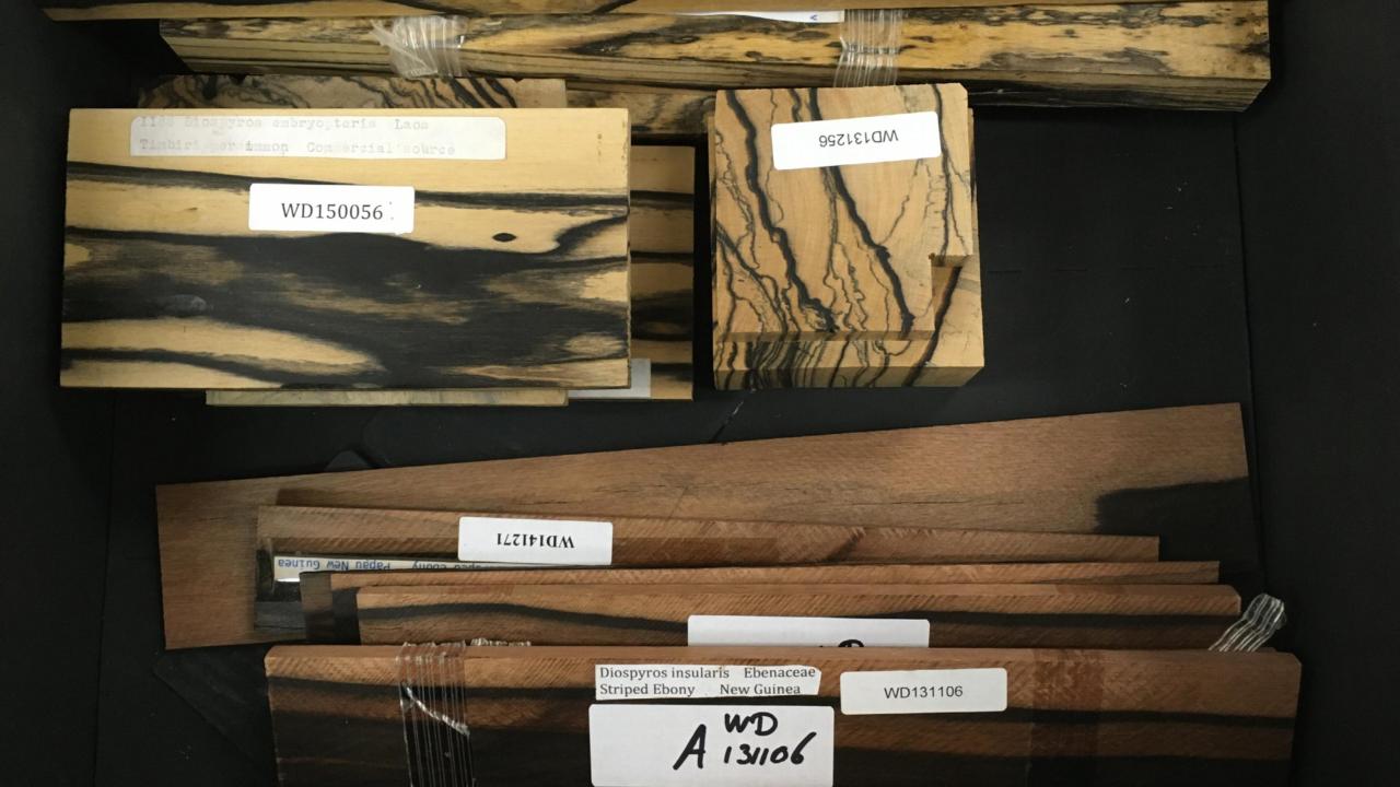 achtergrondafbeelding in de media