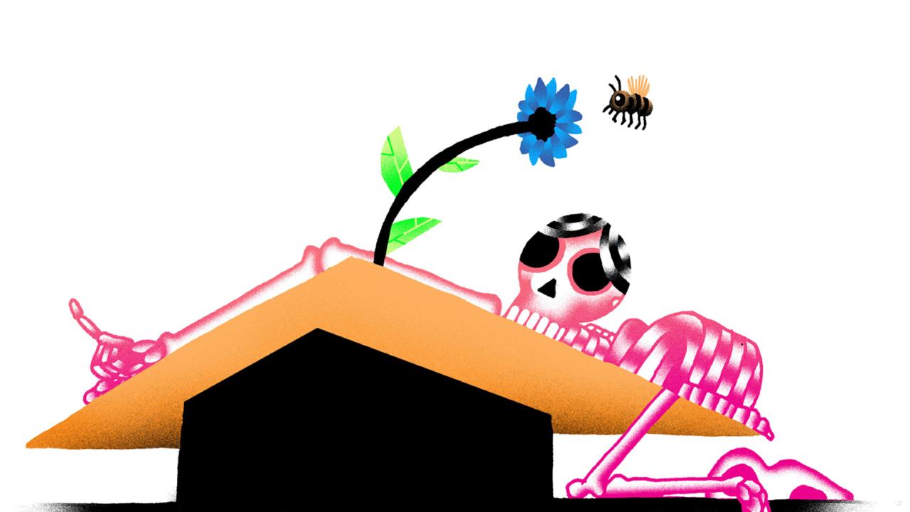 Afbeelding manifest JongerenXNaturalis