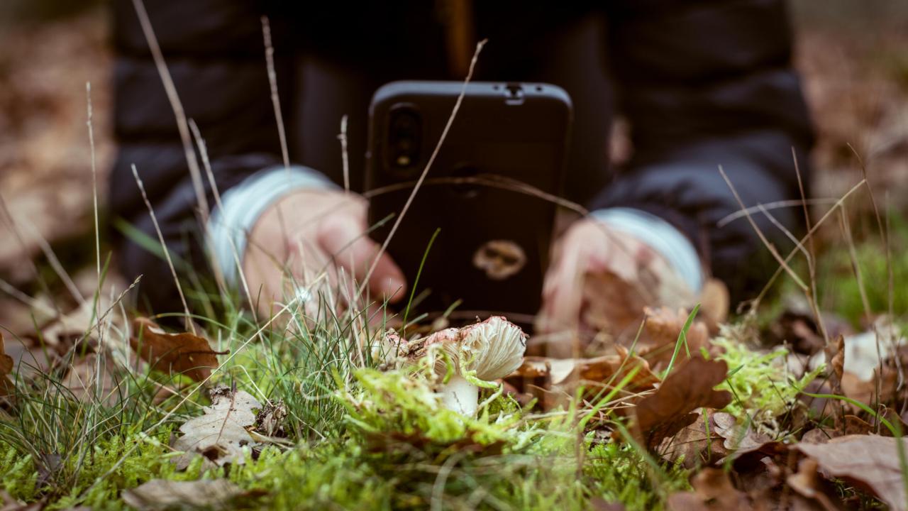 Ontdekken met je telefoon