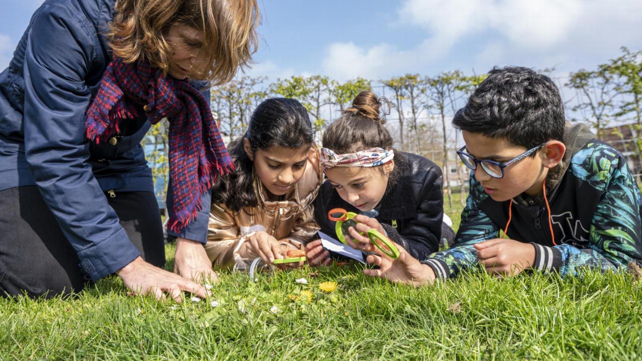 Bijen-evenement Naturalis