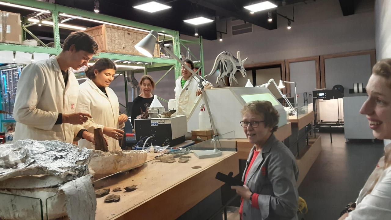 Werken in het Dinolab