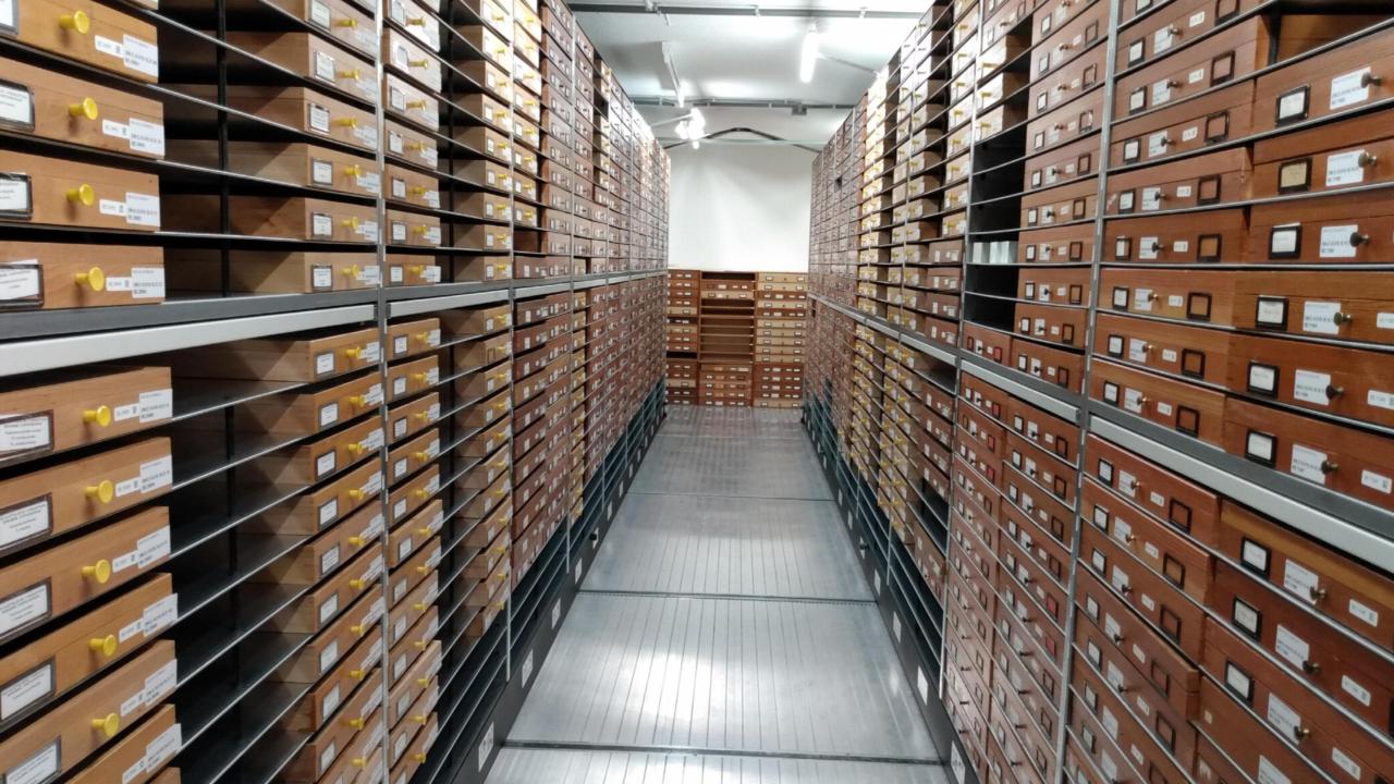 Hymenoptera collection depot, one of the many aisles