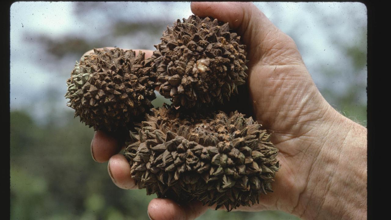 Sorry! De afbeelding is niet beschikbaar.