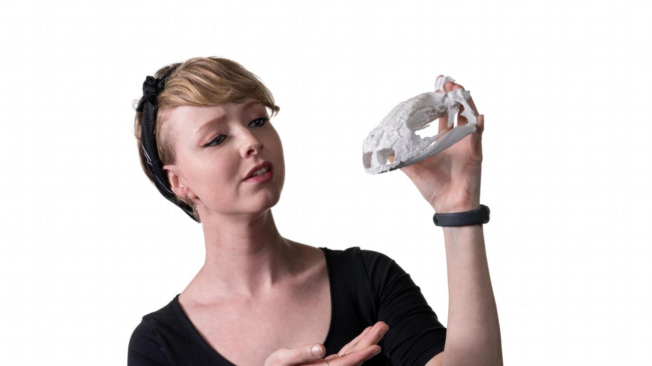 Manon met een uitvergrote, 3D-geprinte schedel van een kamsalamander (geslacht: Triturus)