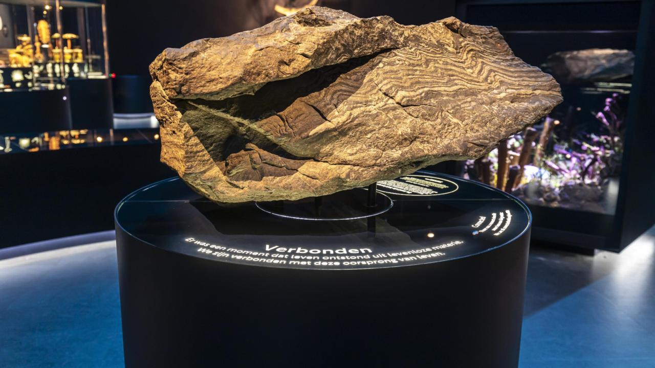 Oersteen zaal Evolutie