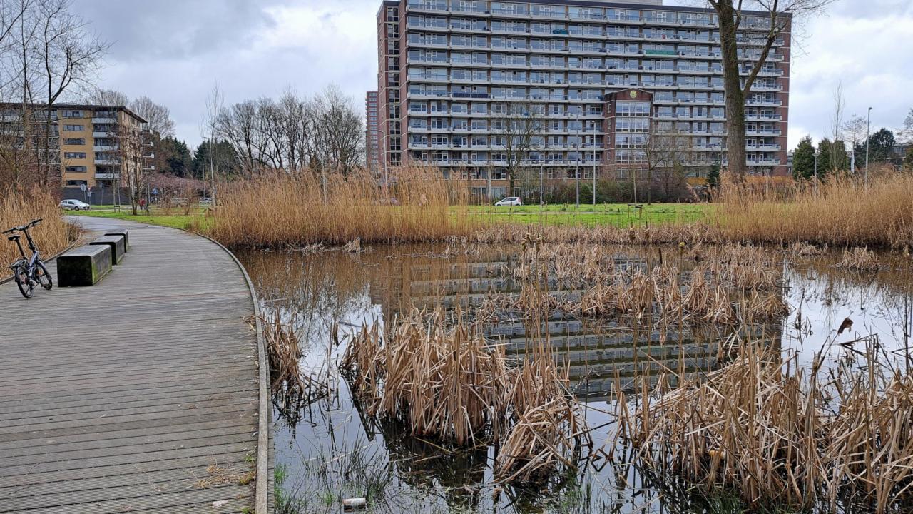 Picture of the neighbourhood IJsselmonde in Rotterdam