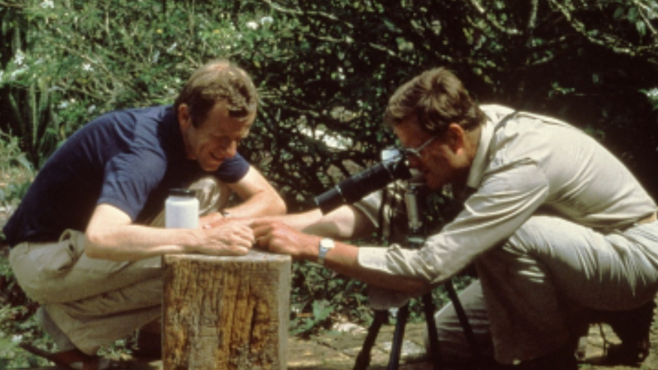 Lubbert Westra and Paul Maas photographing in 1979
