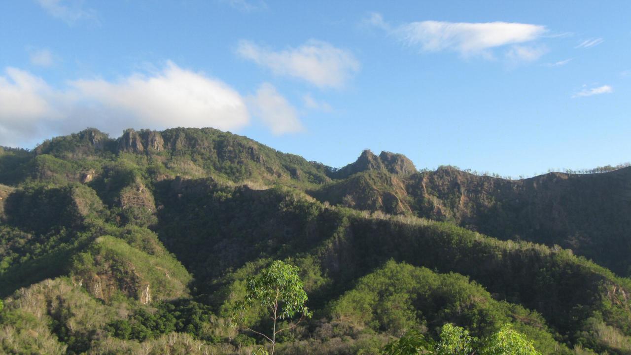 Natuur op Timor