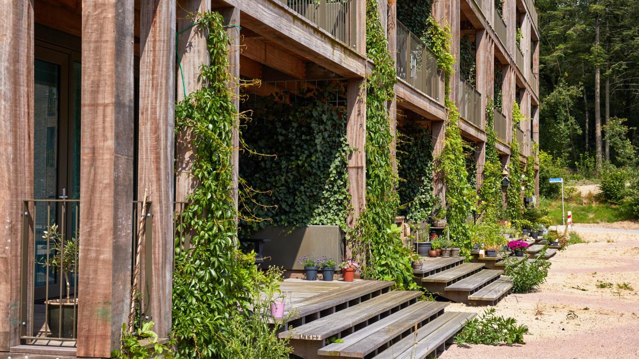 Ede World Food center