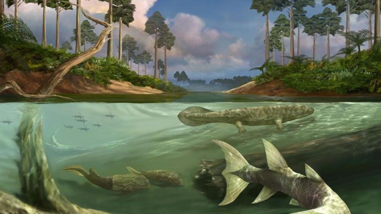 Paleoart during the fish-tetrapod transition 