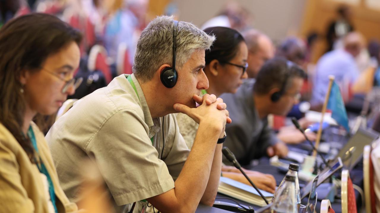 IPBES experts bespreken de rapporten