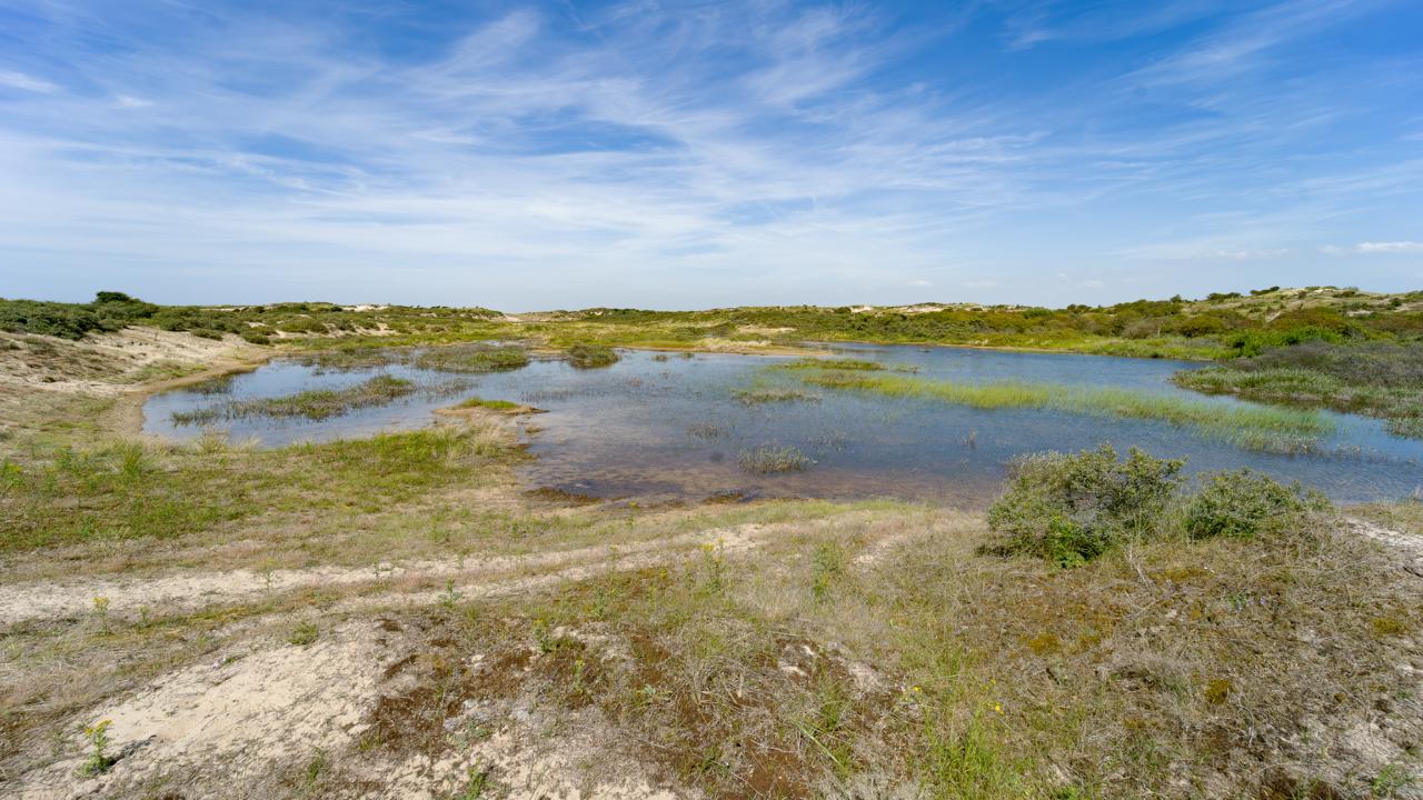 Duinlandschap AWD