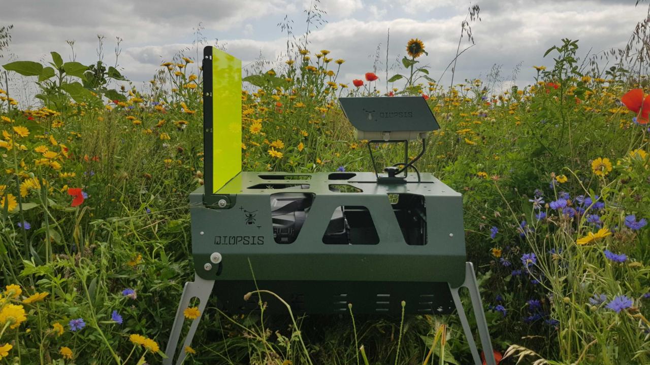 Automatische insectencamera. Foto: Rotem Zilber (UvA)