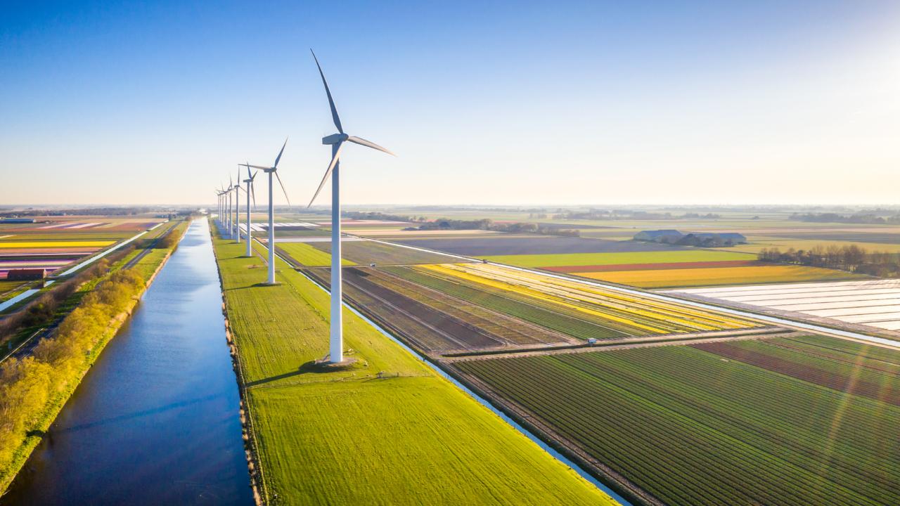 polderlandschap
