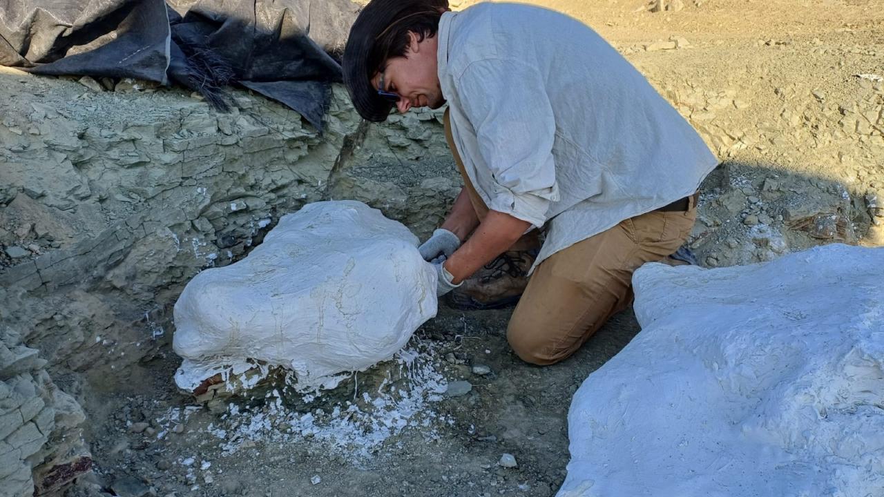Erwin bezig een gipsverband aan te leggen
