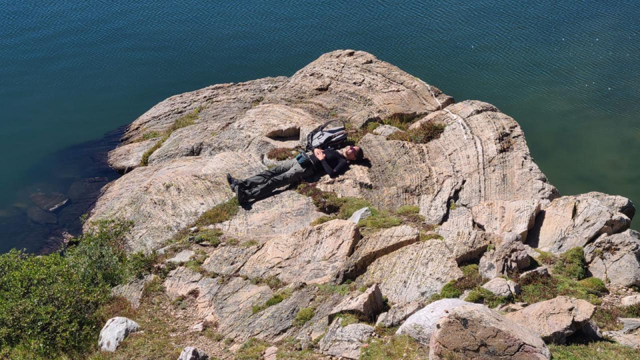 Plurimeter koepelvormige stromatolietfoto