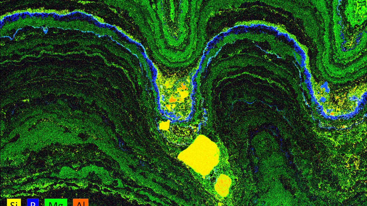 Stromatolietlaminering, SEM-EDX-afbeelding