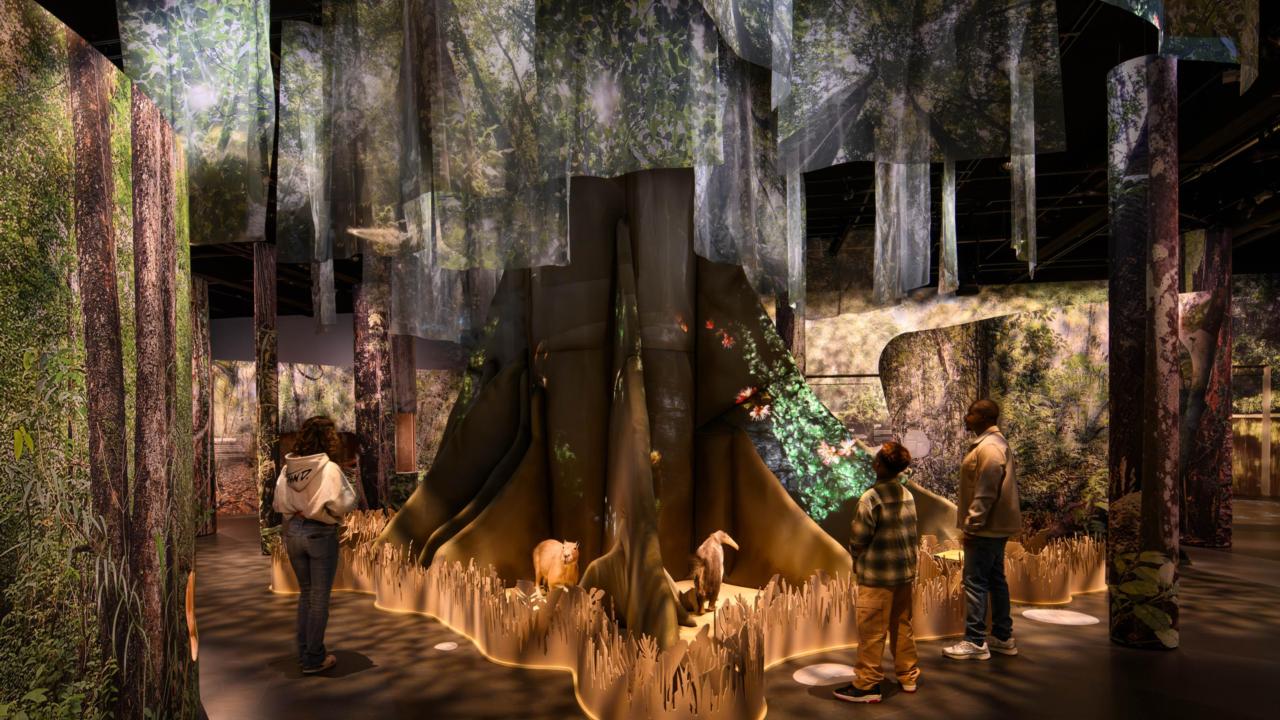 Bezoekers bij de kankantri in de tentoonstelling.