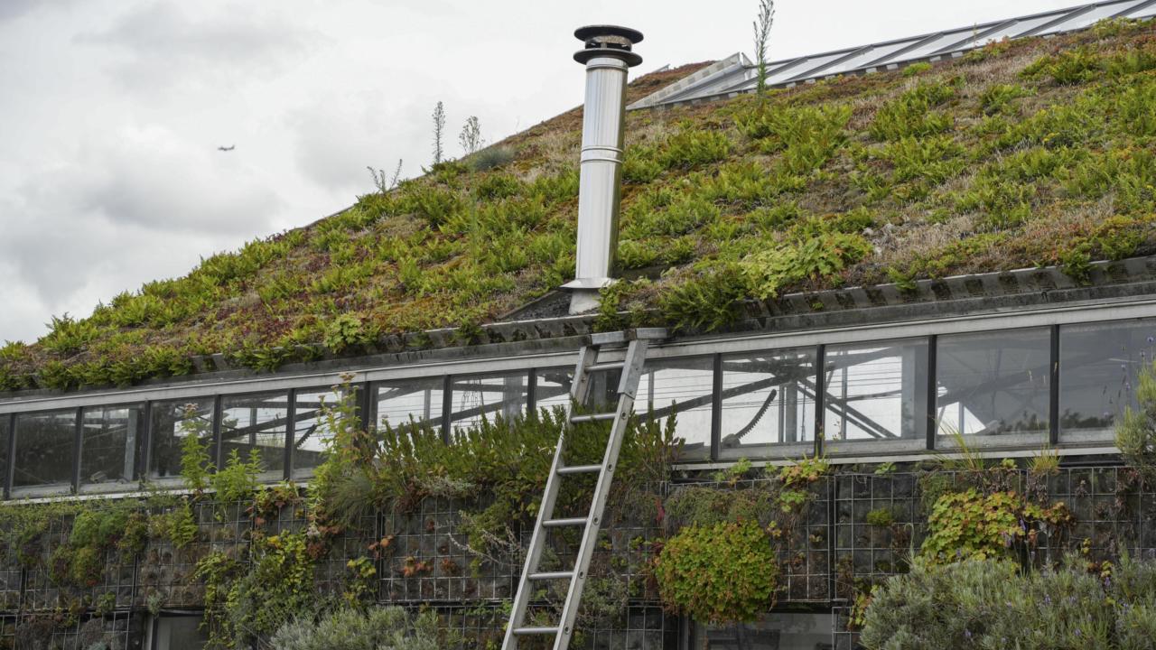 Bijna elk dak is geschikt om te vergroenen