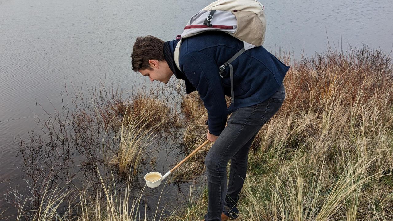 Jordy die op zoek is naar muggen
