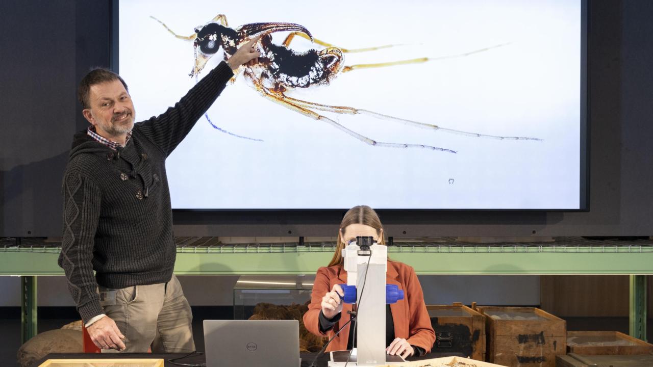 Jan en Aglaia in LiveScience