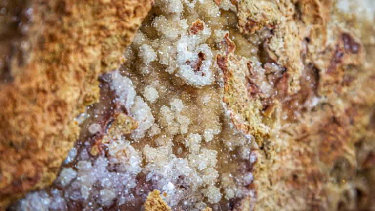 Gebruik van natuurlijke materialen bij het nieuwe gebouw van Naturalis