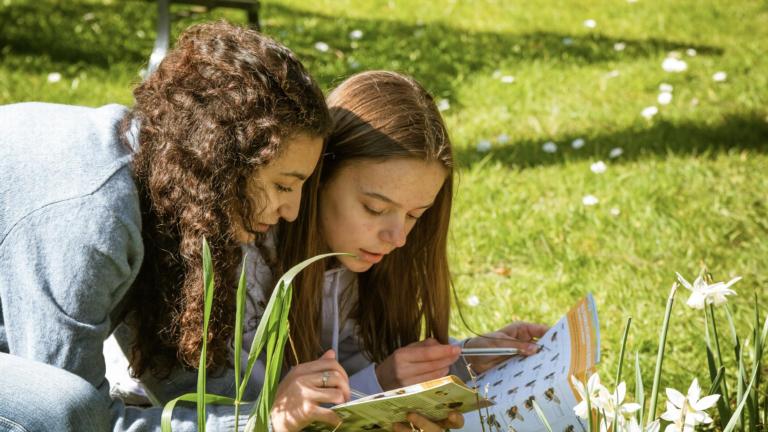 Nationale Bijentelling 