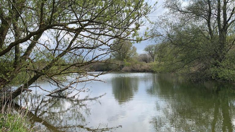 Nature reserve Staatsbosbeheer