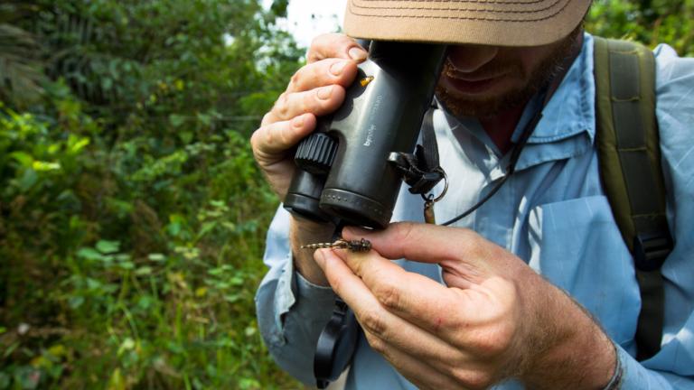 Onderzoeker in het veld