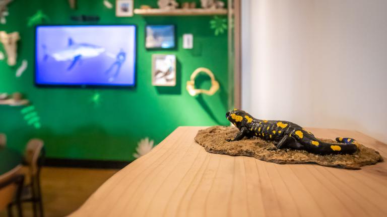 Detail van De groene kamer 