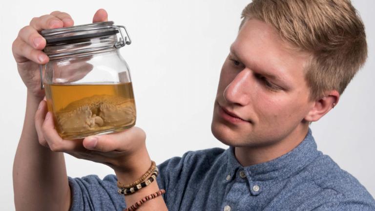 Werner de Gier with a shame-faced crab, picture: Petra Sonius 
