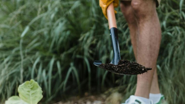 Persoon die bijna een plant aanplant 