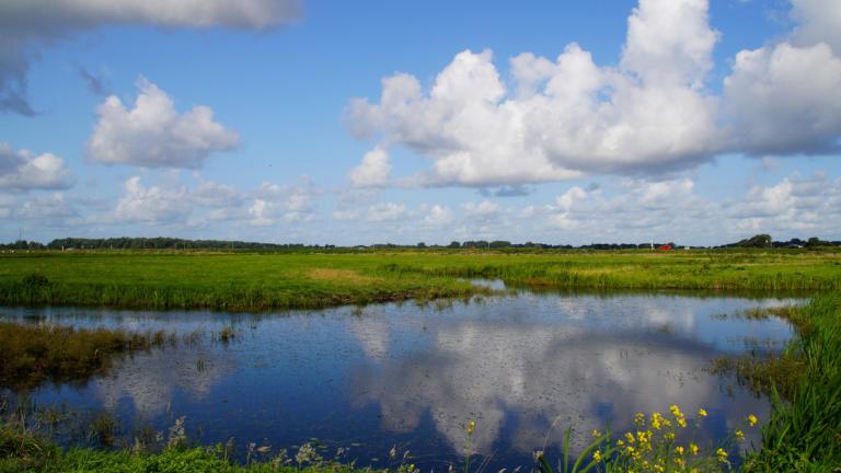 Nederlandslandschap (Marit Moerman)