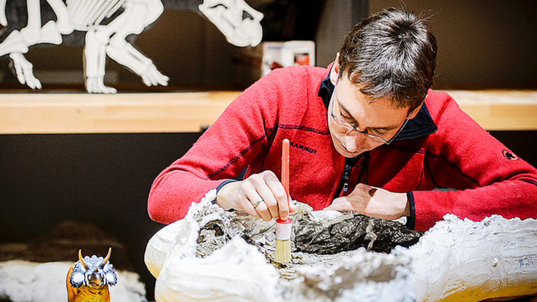 Anne Schulp in het oude Dinolab