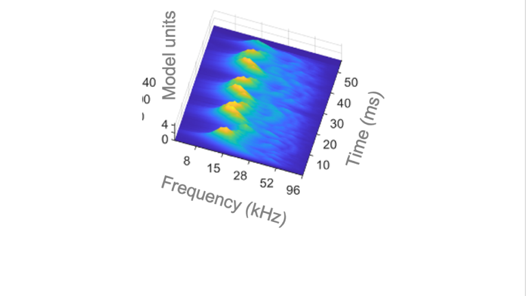 Perceptual spectrogram van een vleermuissociaalgeluid