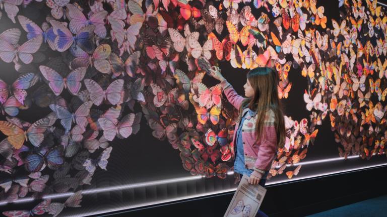 Origins of Imagination