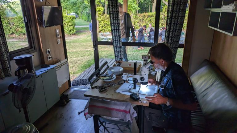 Jan die naar insecten kijkt