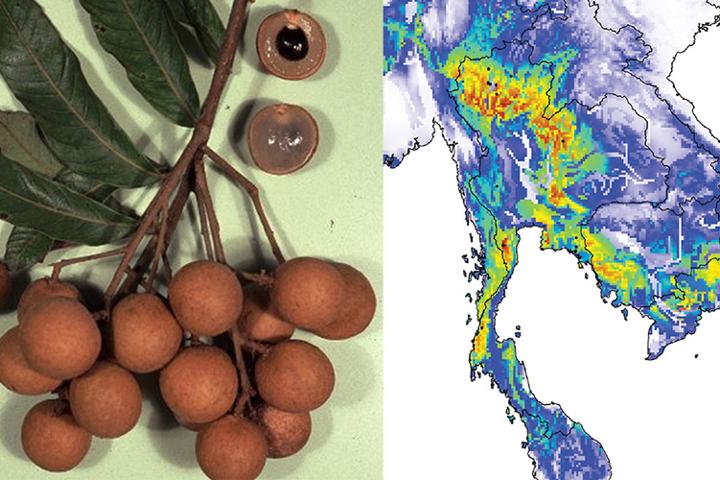 Climat change Thailand