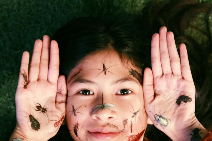 AH Naturalis TOPinsecten 